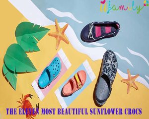 The Eleven Most Beautiful Sunflower Crocs Ever