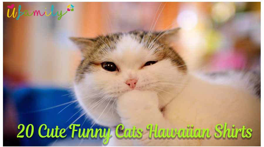20 Cute Funny Cats Hawaiian Shirts