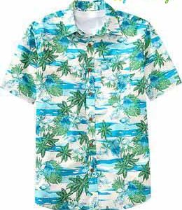 Hawaii Shirt Old Navy