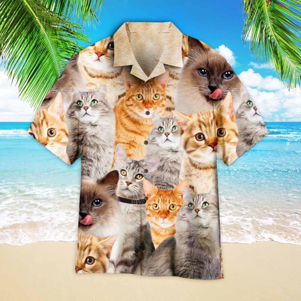 Pictures Of Funny Cats Hawaiian Shirt
