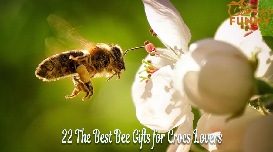 Uncover The 22 Best Crocs Bee Gifts