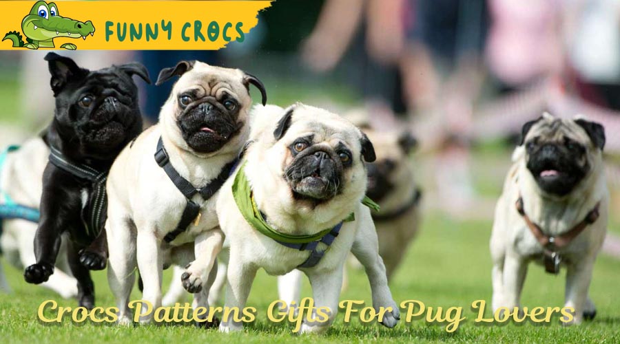15 Crocs Patterns Gifts For Pug Lovers