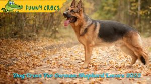 Dog Crocs For German Shepherd Lovers 2023