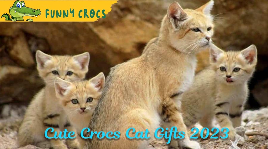 Cute Crocs Cat Gifts 2023