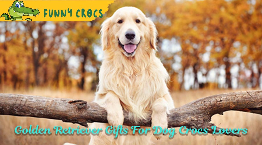 Golden Retriever Gifts For Dog Crocs Lovers