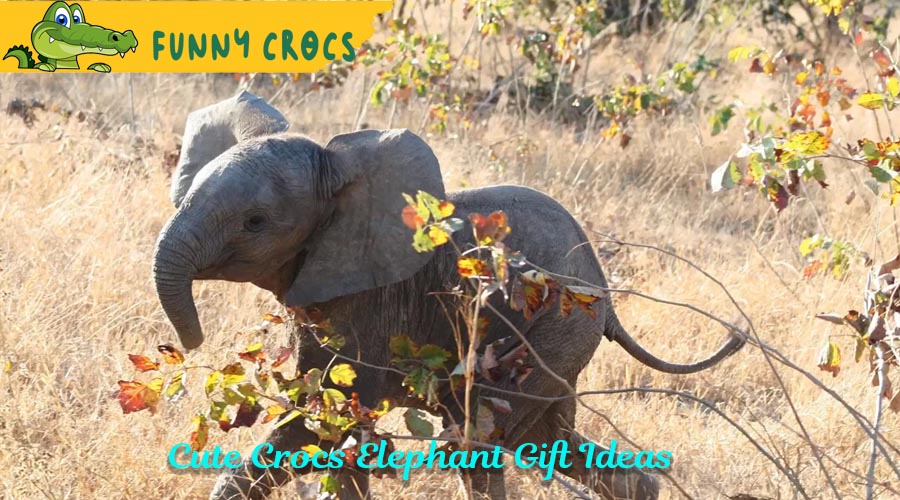 Cute Crocs Elephant Gift Ideas