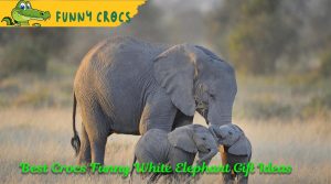 Best Crocs Funny White Elephant Gift Ideas