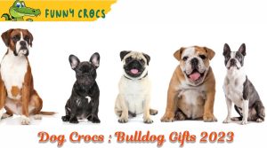 Dog Crocs : Bulldog Gifts 2023