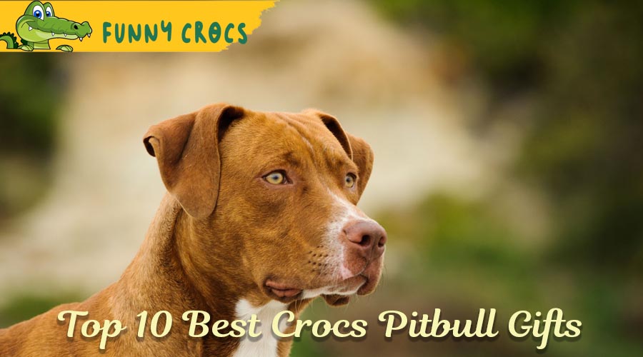 Top 10 Best Crocs Pitbull Gifts