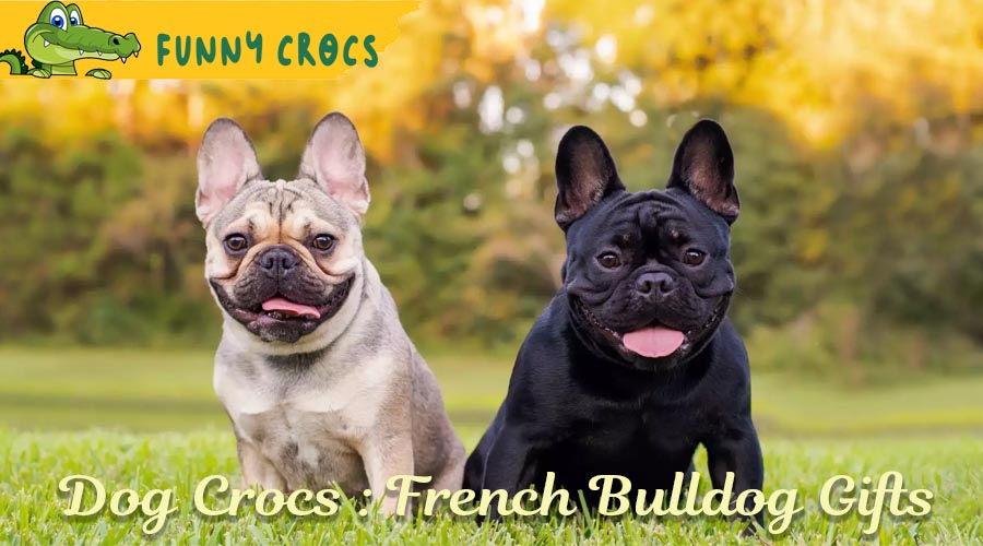 Dog Crocs : French Bulldog Gifts