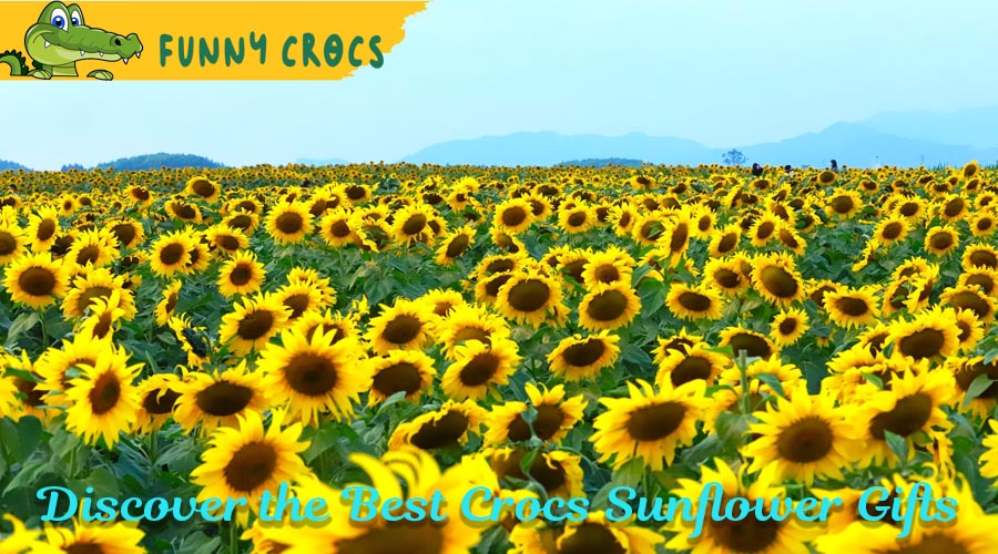 Discover the Best Crocs Sunflower Gifts