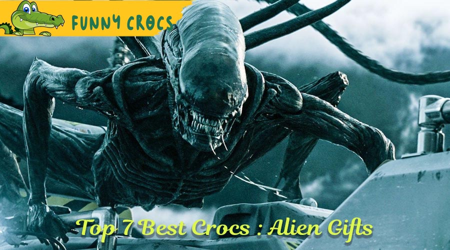 Top 7 Best Crocs : Alien Gifts